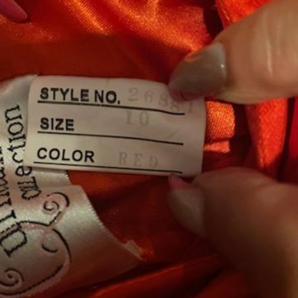 Quinceañera Dress size 10, with Slip - Picture 5 of 6